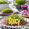 Spicy Combo